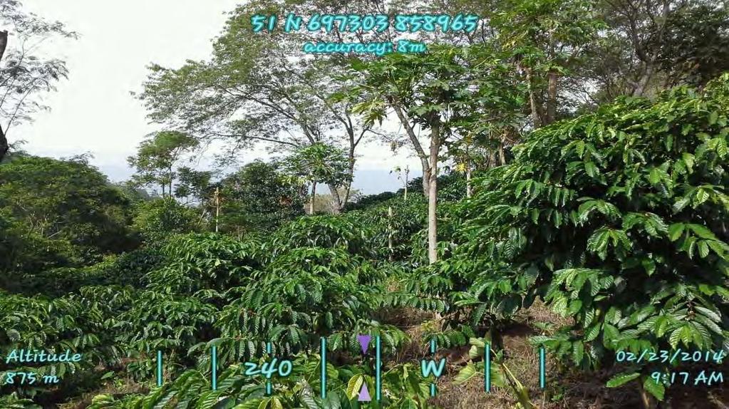 2011 Coffee Plantation Ninoy Aquino