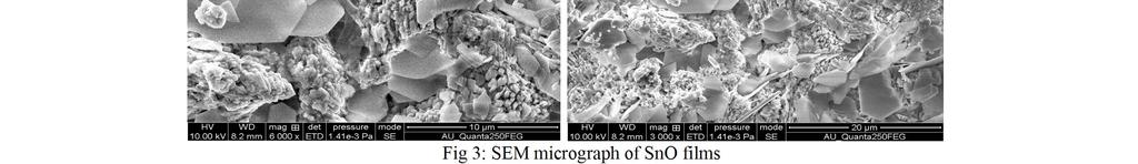 SEM micrograph reveals the presence of uniformly sized spherical nanoclusters distributed over the surface.