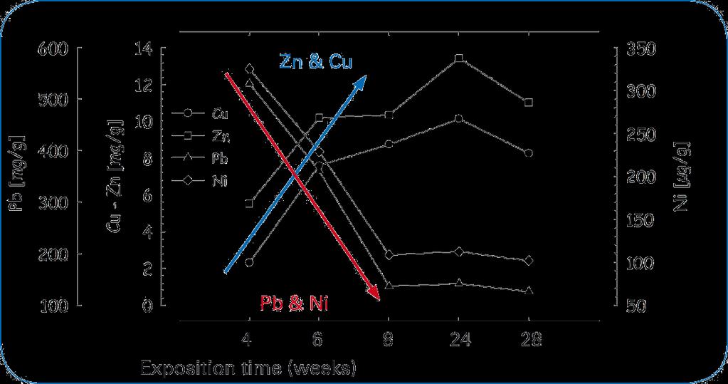 Sorption effects in biofilms Immediate accumulation of Pb and Ni