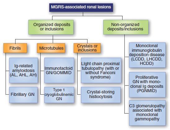 MGUS-related conditions Monoclonal