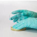Viable Testing: Gloved Fingertip Use two plates with nutrient agar containing neutralizing agents (e.g. lecithin and polysorbate 80).