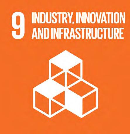 5 ROLES OF SCIENCE IN SDGS. 2. STI Featuring Directly in the Goals INDUSTRY 9.
