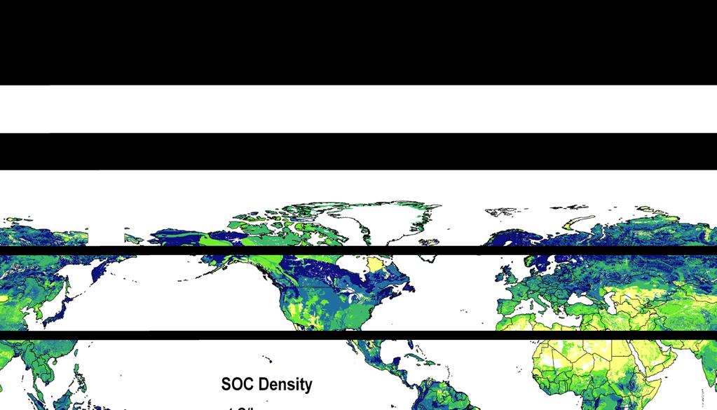 Thus high stocks in tropics and in the arctic Global variation in C density (Mg C ha -1