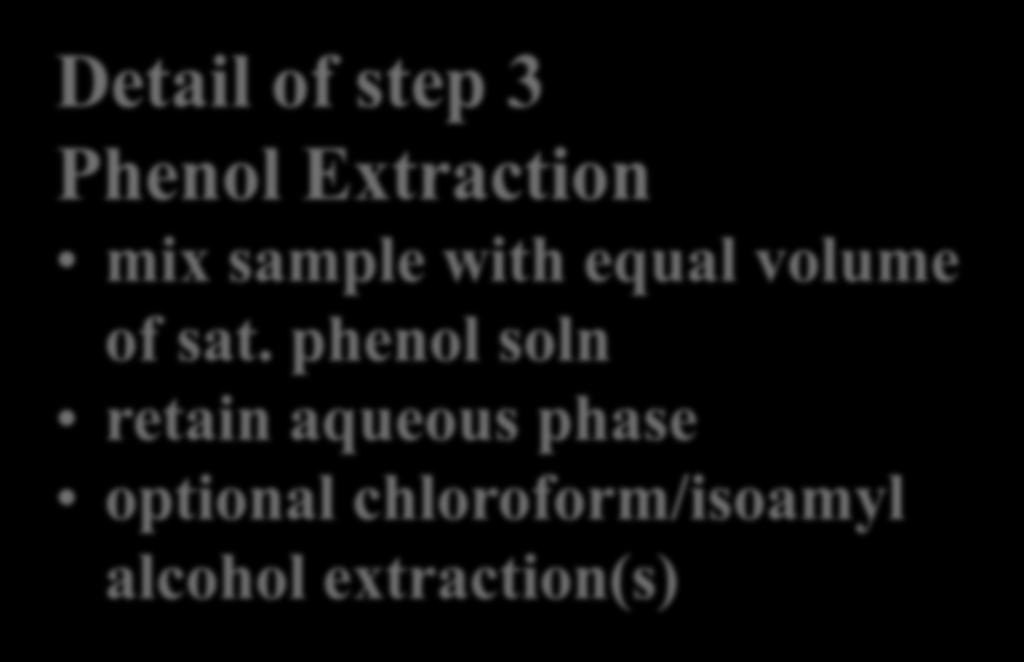 High MW Genomic DNA Isolation Typical Procedure 1 Harvest cells 2 Cell Lysis 0.