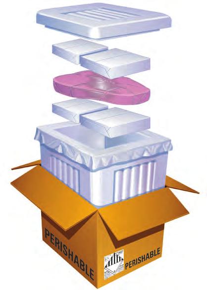 If you have questions or need more information about dry ice shipments, call your local FedEx Customer Service.