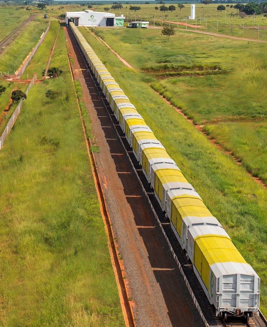 Eldorado transports pulp via rail, which is more economical and