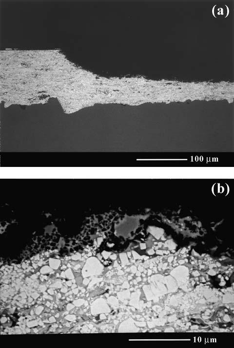 Fig. 9 SEM cross-section micrographs of a WC-10Co-4Cr coating anodically treated (E A2 + 1.14 V) in S2(1) solution. (a) magnification 250; and (b) magnification 3000 Fig.
