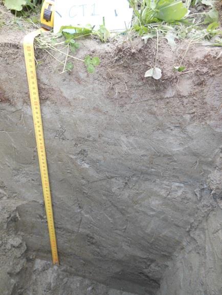 9. Appendix 3: Photos of the soil