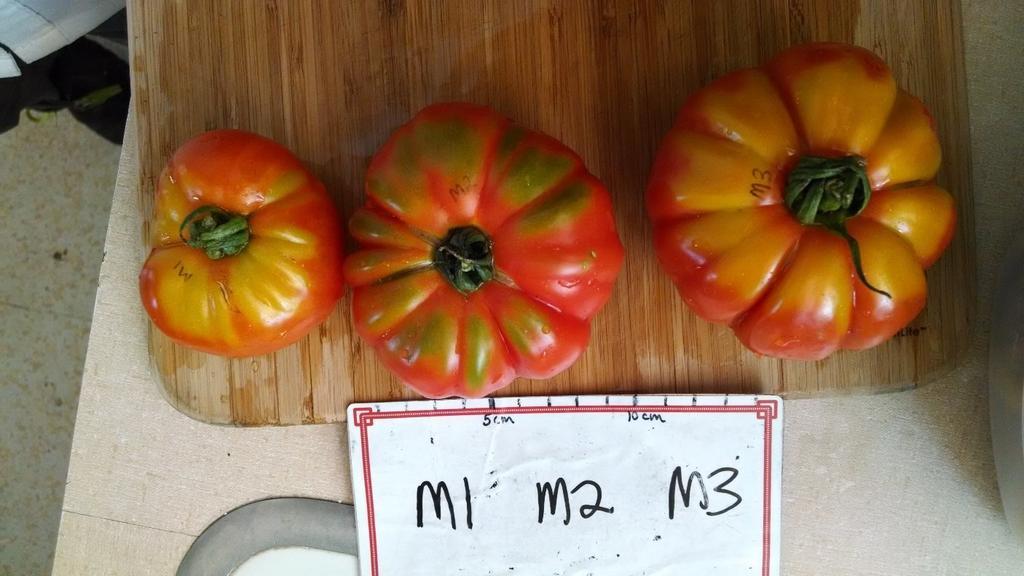 Conclusion The CSU Field day taste test revealed that consumers preferred the appearance of three of the Marmande entries and one of Coeur de boeuf and were more likely to buy these.