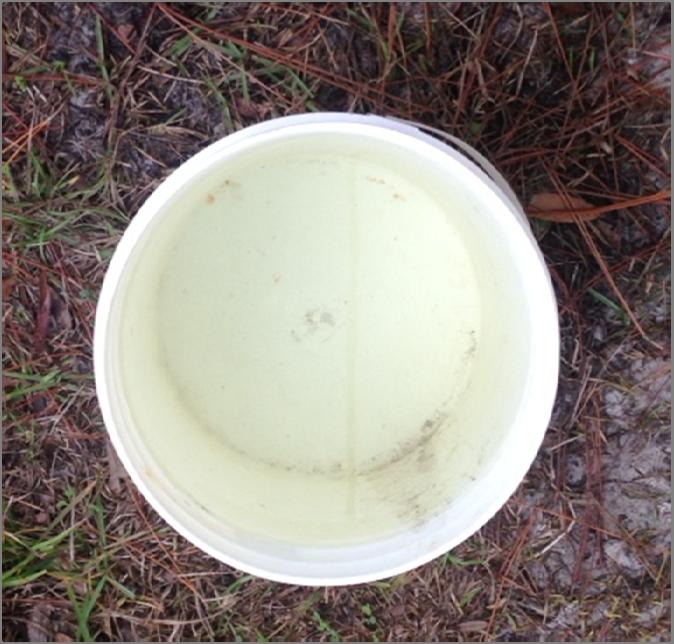 H2O2 Jar Test Before & After Florida