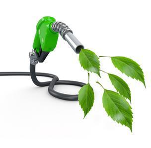 transportation The Norwegian Government has just agreed on increasing the share of biofuels in diesel and gasoline from 5.