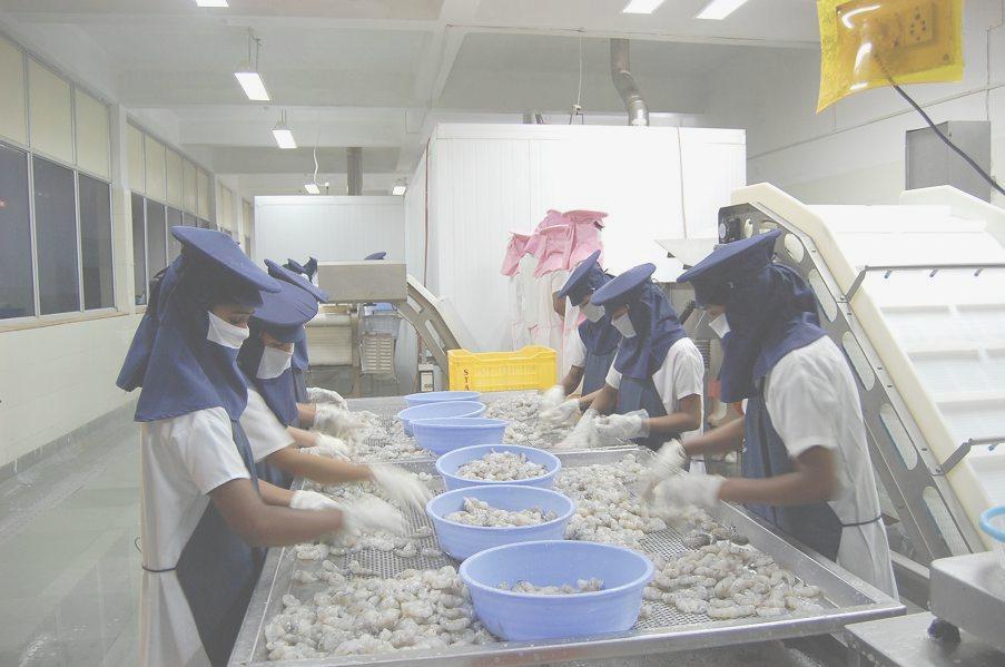 Sea food Processing Unit