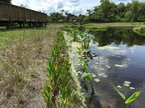 impact on the waters along the coastline. One coastal project closing in 2016 is the Sarasota Hudson Bayou project.