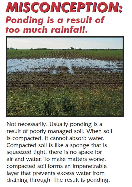Tillage Texture of soil Plants get additional Water 48 1.