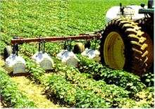 This Means Crop Yields Must Increase Improvements in seed technology