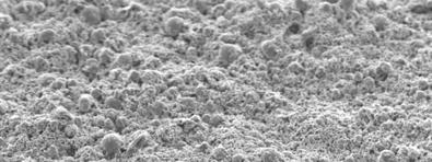 Figure 5: SEM Image of the Positive Electrode's Surface (350X) Positive Electrode Nickel Current Collector Teflon porous substrate Figure 6: Cross-section of the