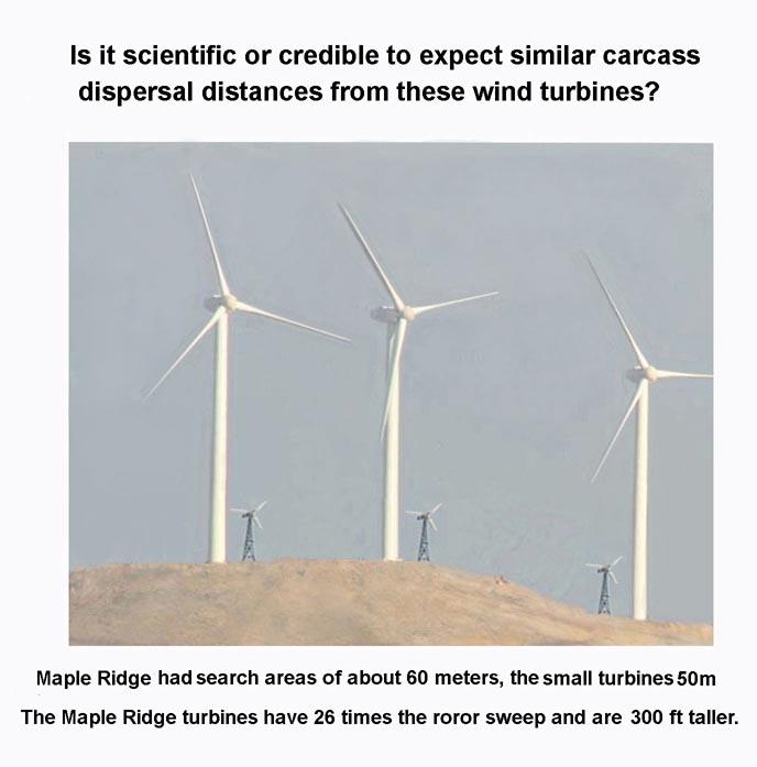 . Years of research around small turbines at Altamont, using complete searches of a 50 meter distance out from towers, showed that even this search area size still missed many turbine fatalities.