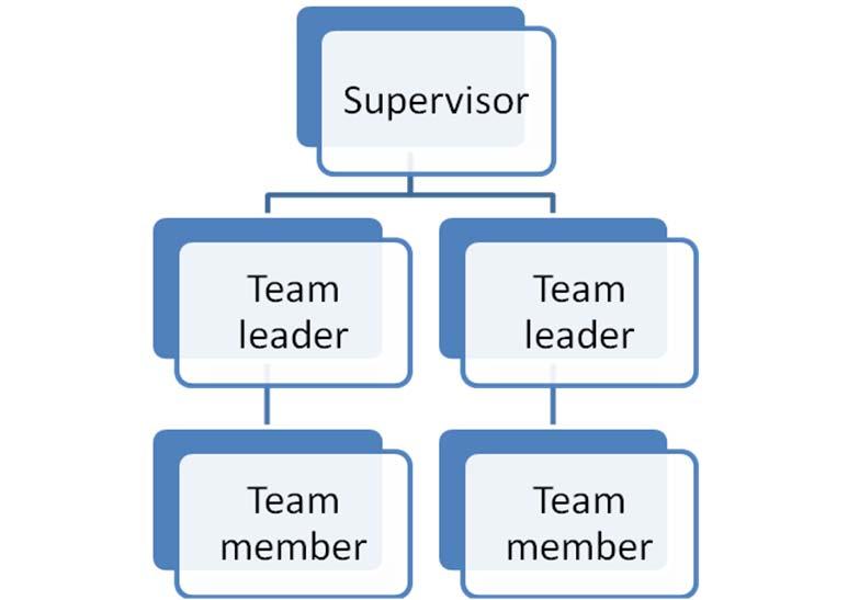 Establish team performance plan Functional work teams: Functional work teams are based on the structure of the organisation.