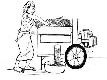 26. Threshing 26 Q1: What is Aminat doing in this picture? A: She is threshing : She uses a mechanical device Q2: What is the advantage of using a mechanical device?