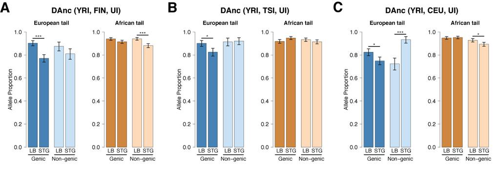 Supplementary Figure 15. Presence in ancient European genomes of the high-frequency European allele in alleles in the DAnc European and African tail.
