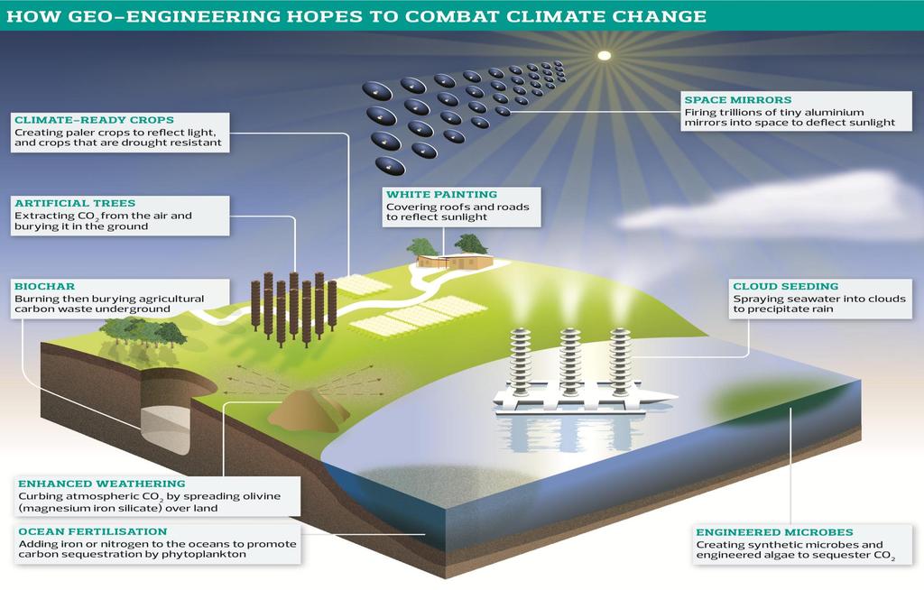PLAN B : Climate Engineering Initiatives The principle of large-scale geoengineering has been backed strongly in 2009 by Sir Martin Rees of the Royal