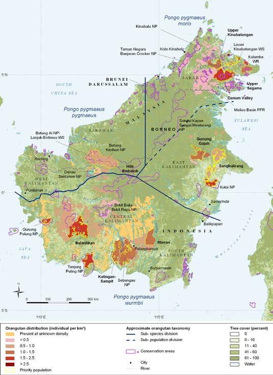 8 Figure 1: Bornean orangutan distribution, with priority populations highlighted.