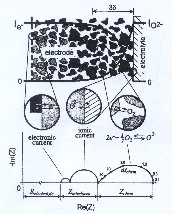 Adler Model R chem Figure: Schematic representation of the ALS model [S.B. Adler, limitations of charge transfer models for mixedconducting oxygen electrodes, solid state ionics 135 (2000) 603-612.