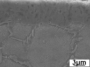 Fig. 4 Microstructure of alloy 1 aged at 750 for