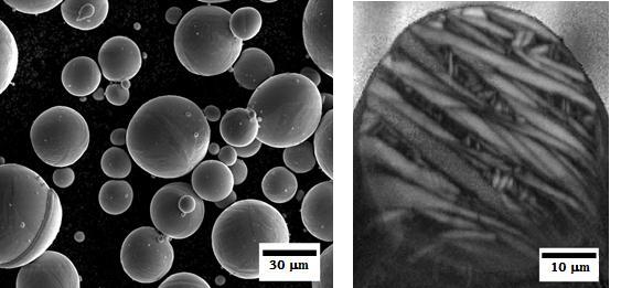 examined particle size ranged between 25 to 50 m. Particles appear spherical, smooth with few smaller condensed particles attached to bigger particles (Figure 1).