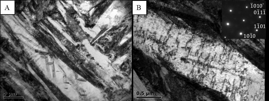 The martensitic phase is organized within prior grain boundaries (Figure 3A, B and C) with different inclinations of ± 45 o and 90 o to the building direction as reported elsewhere [3,6].