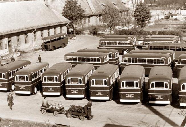 Mass production IKARUS bus