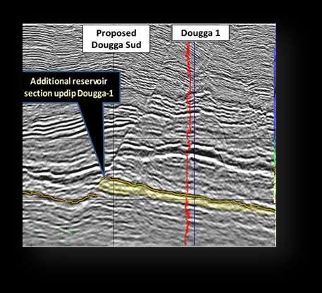 DOUGGA GAS-CONDENSATE PROJECT WAY FORWARD Findings from Recent Studies: 3D Seismic mapping indicates ~180m updip potential from Dougga1, with better quality