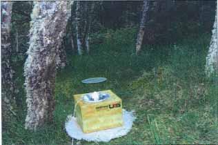 Isle of White- 1996 Essex- 1999 ( larva- on pine import) British Records (Scotland) Inverness- 2004 Kiltarlity- 2007 (2 records)