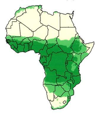 Biomass potential Enormous biomass potential? 2006 Niger Fuelwood 95% 5.8%, 22.0%, 532.8to 2,015.