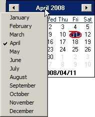 Whenever a date prompt is available, click on the button next to the date to show the calendar window, as