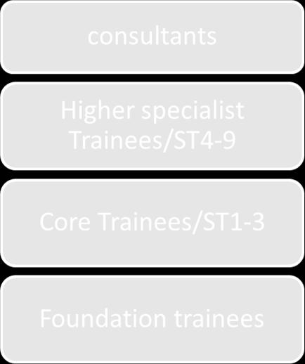practitioner Level Associate Specialist/expert practitioner Staff Grade/ Trust