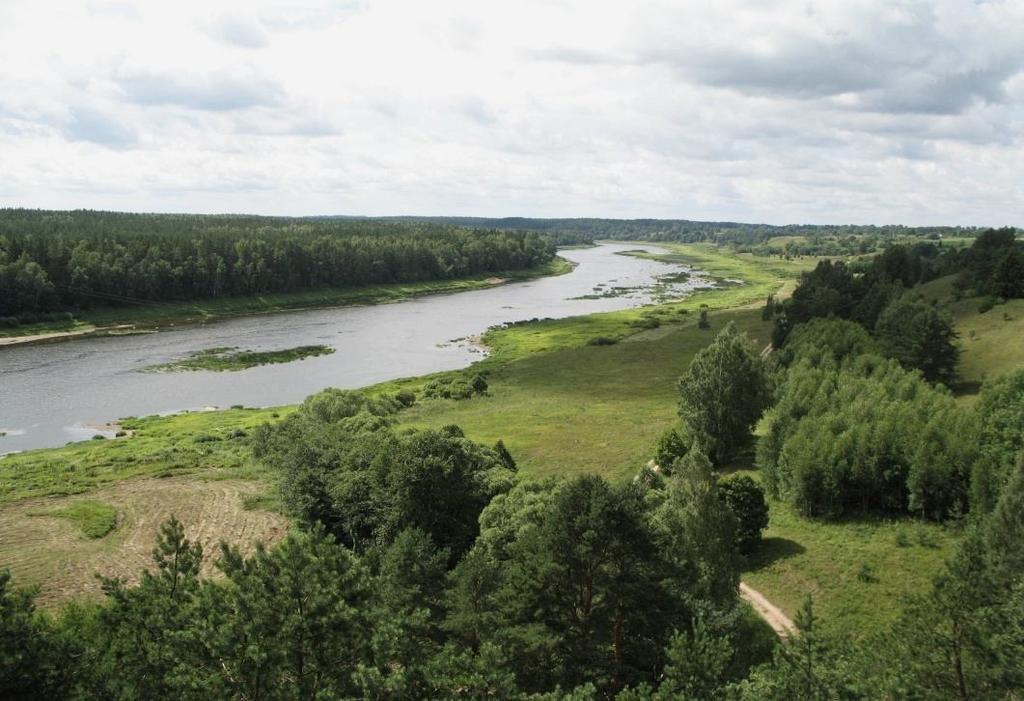 zivju sugu skaits. Latgales reģionā nozīmīga saldūdens rezerve ir upes, kuru kopējais skaits sniedzas par trim simtiem.
