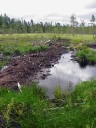 caused decomposition of peat along ditches -> surface barriers needed to direct water away