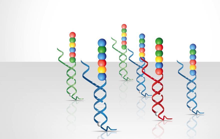 8 ncounter Assay Hybridize CodeSet to RNA Remove