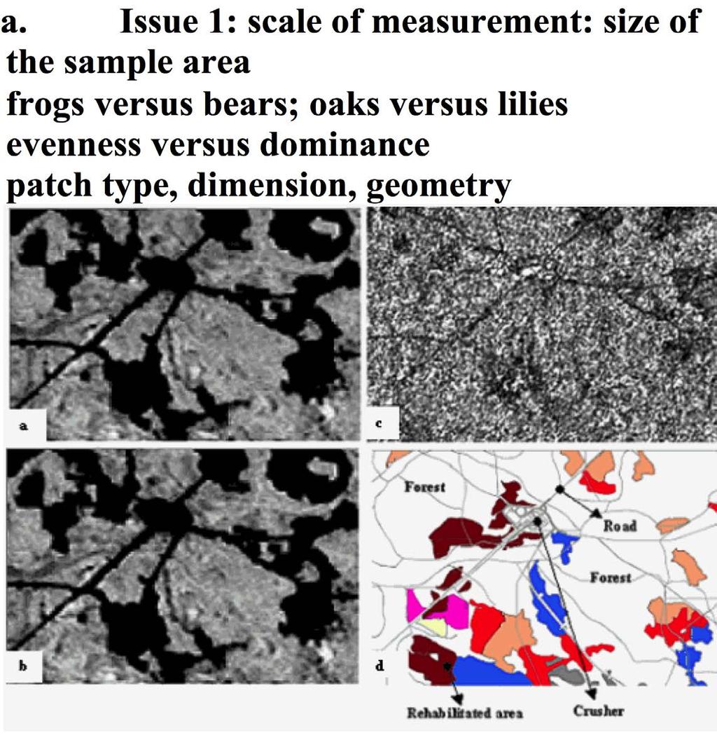 Issue 2: Scale and Geography: evenness versus dominance: oaks