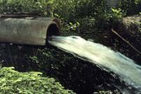 Point Source Discharges Municipal and industrial effluents