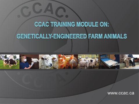 CCAC training module on: genetically-engineered farm animals Companion Notes Slide 1 The use of genetic engineering in the production of farm animals is an evolving science in which the impacts on