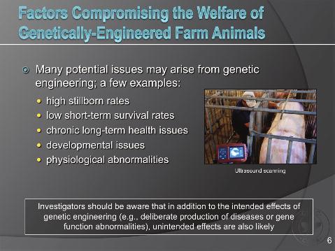 Slide 6 Factors Compromising the Welfare of Genetically-Engineered Farm Animals As methods of genetic engineering are developed and further refined, the potential impacts on the animals produced with