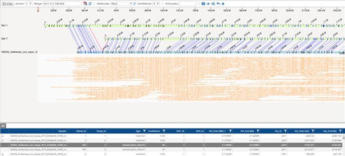 Figure 3: Genome Maps View - Translocation Page