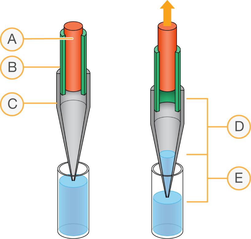 Figure 3 Pipetting Principle Diagram A B C D E Plunger Barrel Tip Air between plunger and liquid Aspirated liquid Liquid Level Detection Capacitive Liquid Level Detection (clld) enables the tip to