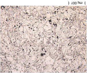 PH. Typical microstructures for the