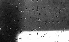 From the ligaments multiple droplets are generated which are clearly visible below the gasring-atomizer. The film break-up of the SnCu30 alloy is totally different.