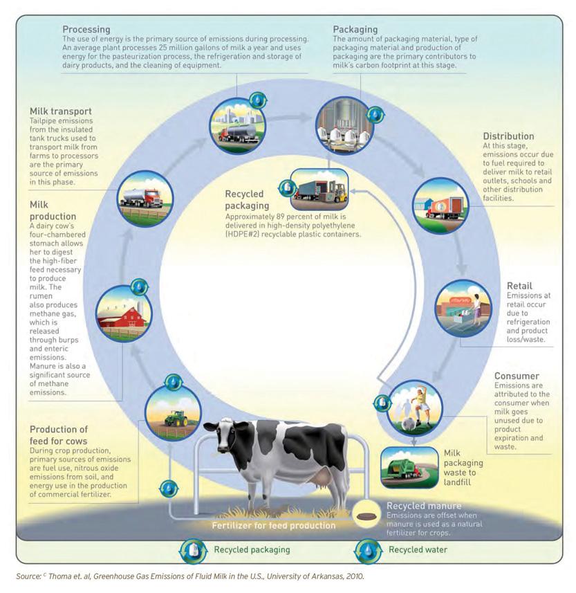 Nutrient surplus and Land use The impact on sustainability of cattle farming should be monitored with different integrated approaches, such as Life Cycle Assessment (LCA) or ecological footprint (EF)