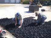 impervious cover, increasing onsite infiltration, and managing stormwater runoff (reducing or