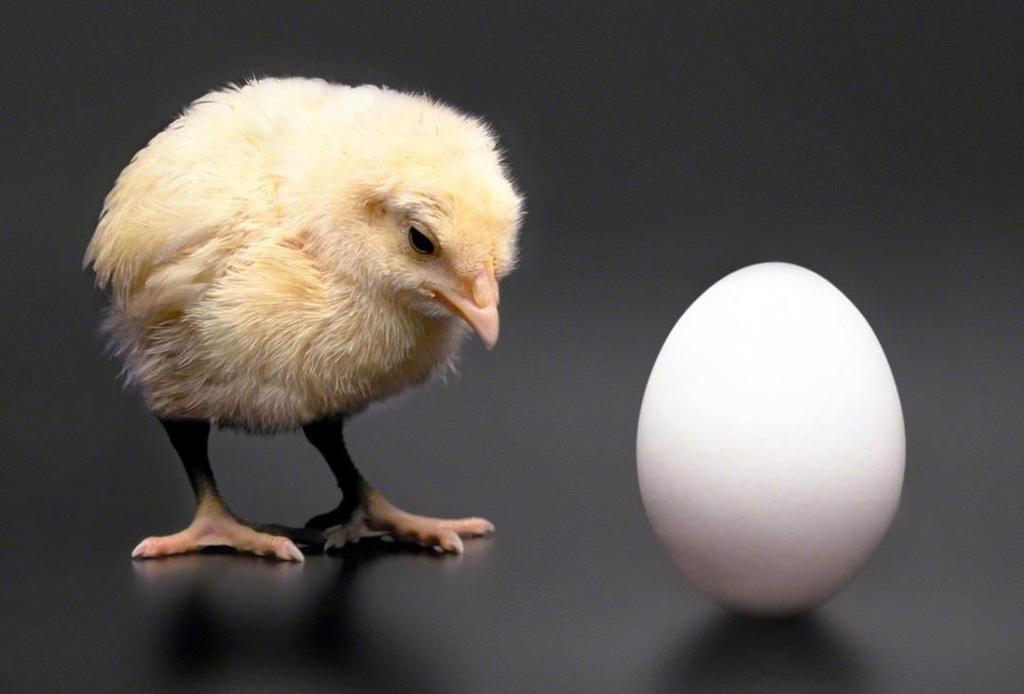 Quantification of system need for DR Literature: The Chicken or the Egg?